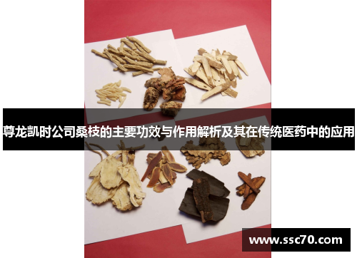 尊龙凯时公司桑枝的主要功效与作用解析及其在传统医药中的应用